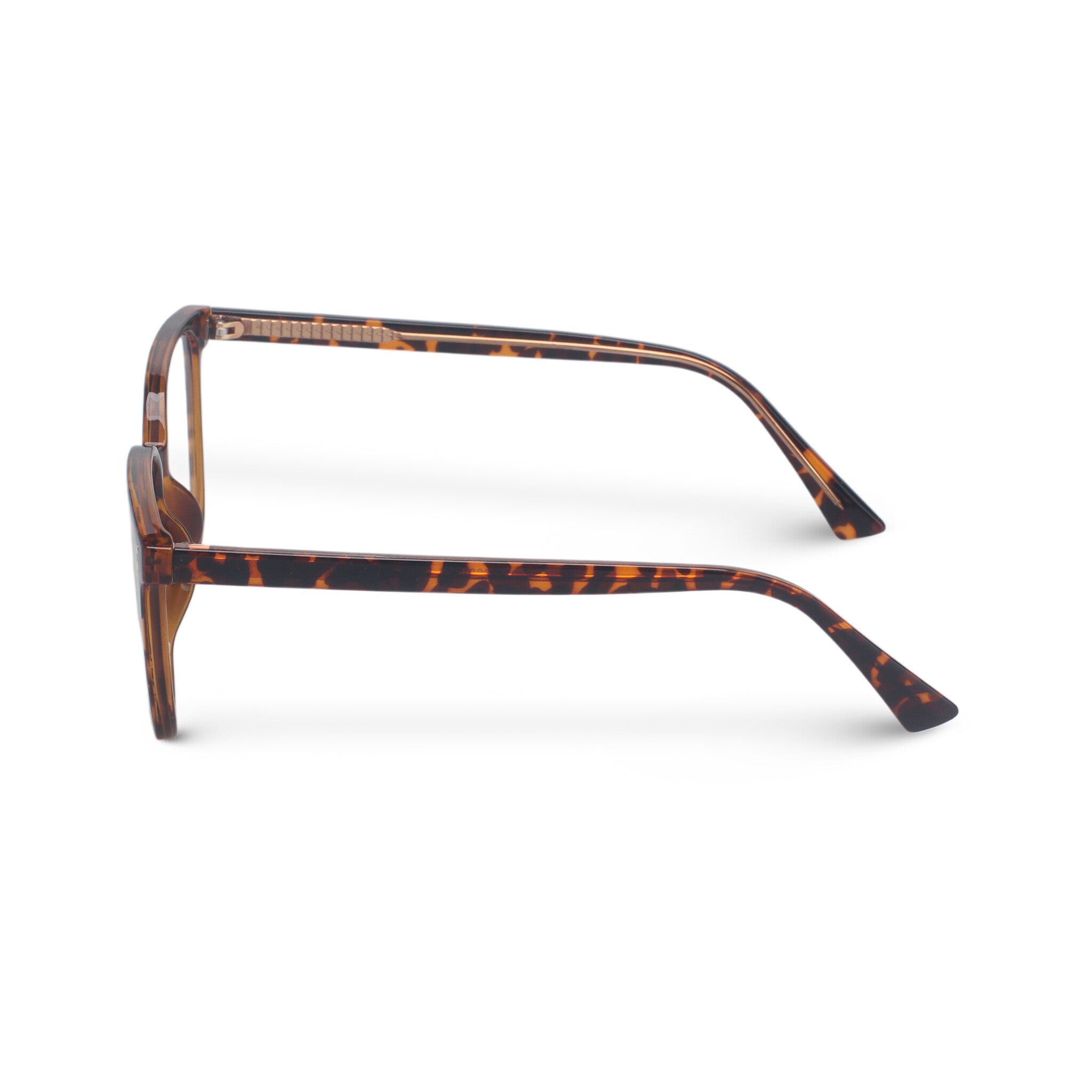 Classic square tortoise eyeglasses
