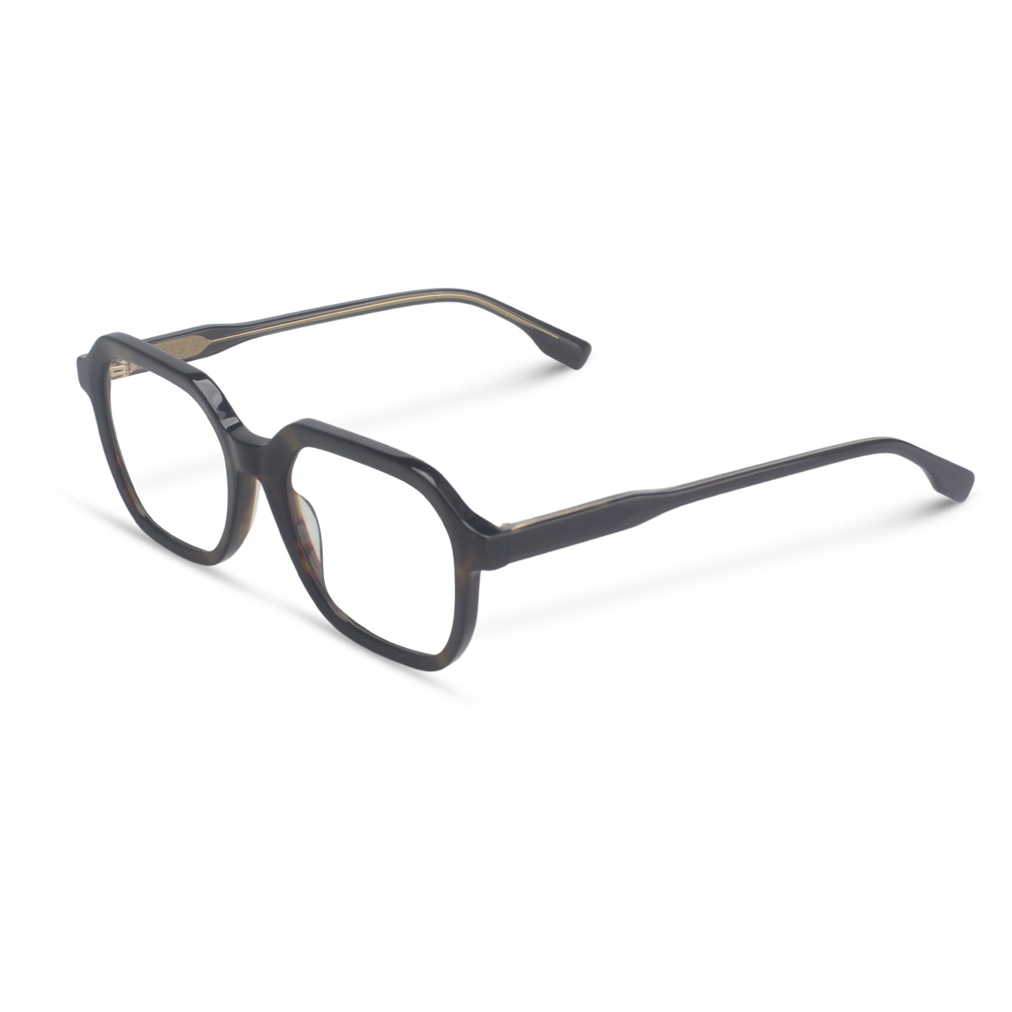 Havana tortoiseshell plastic eyeglasses